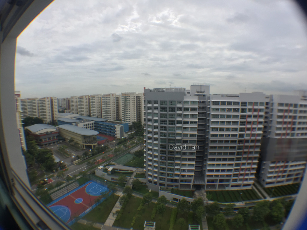 Blk 273D Compassvale Link (Sengkang), HDB 4 Rooms #133882802
